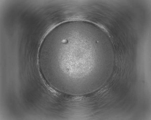 X0000053001279200507221237