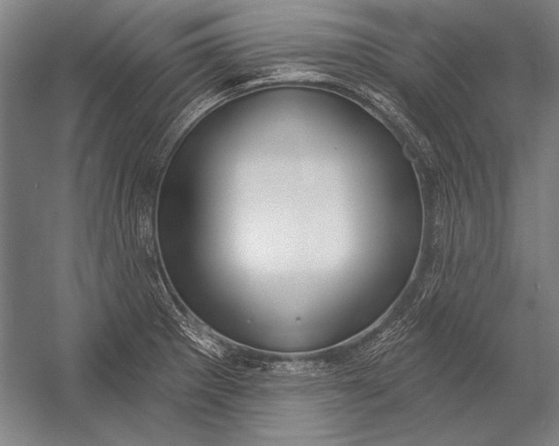 X0000053001281200507221237