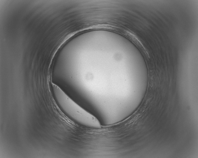 X0000053001284200507221237