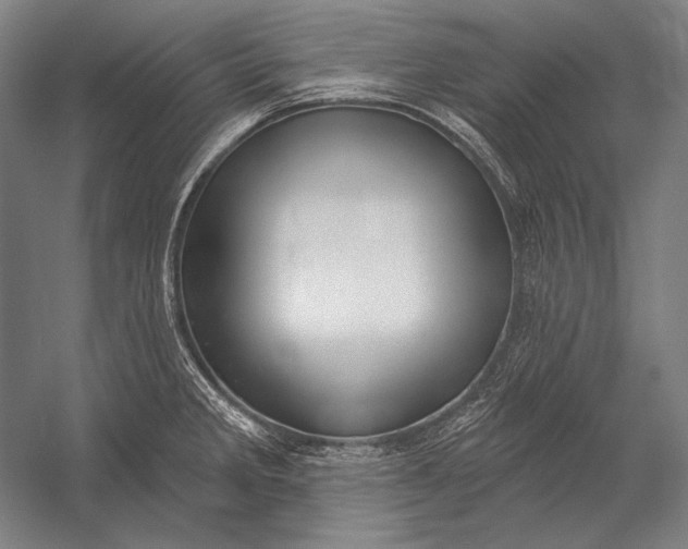 X0000053001285200507221237