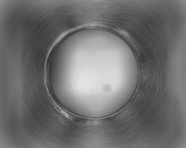 X0000053001286200507221237