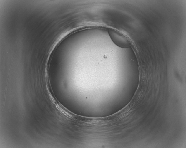 X0000053001287200507221237