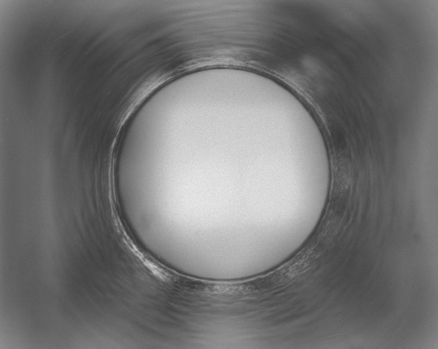 X0000053001290200507221237