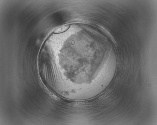 X0000053001291200507221237