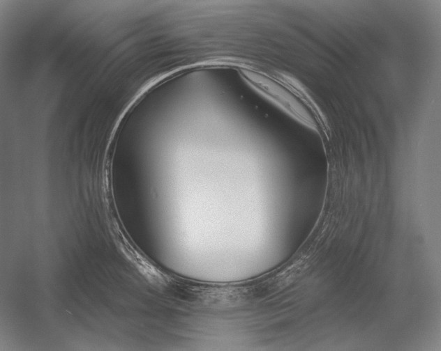 X0000053001292200507221237