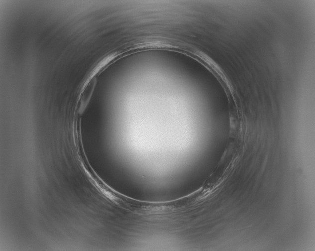 X0000053001293200507221237