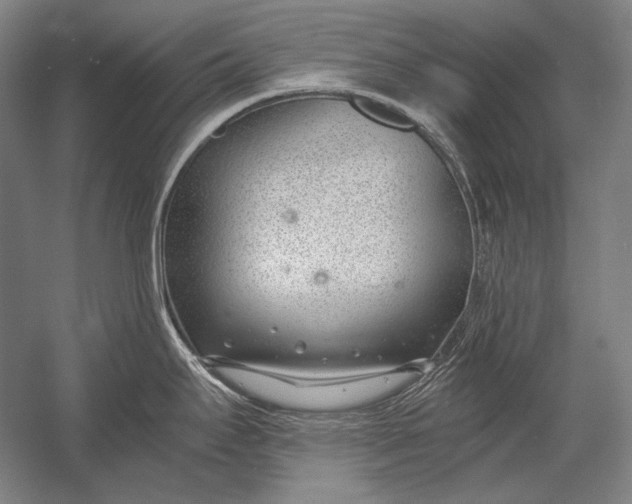 X0000053001295200507221237