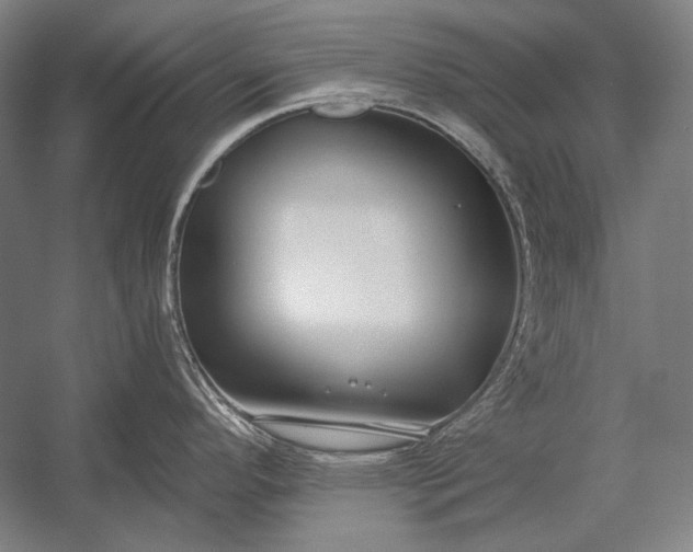 X0000053001296200507221237