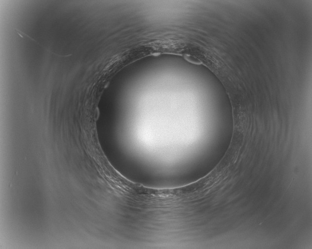 X0000053001297200507221236