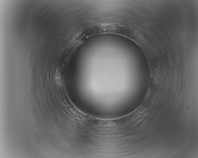 X0000053001298200507221236