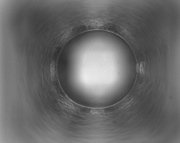 X0000053001299200507221236