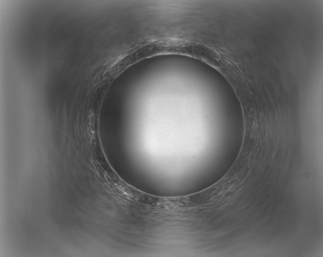 X0000053001301200507221236