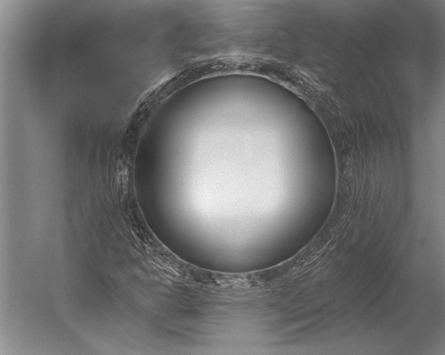 X0000053001302200507221236