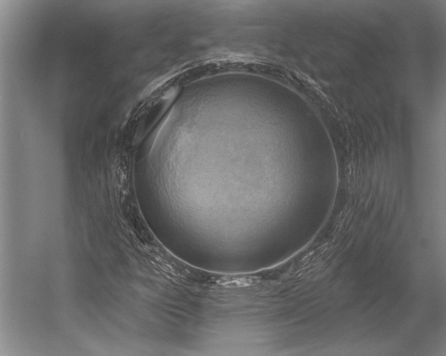 X0000053001303200507221236