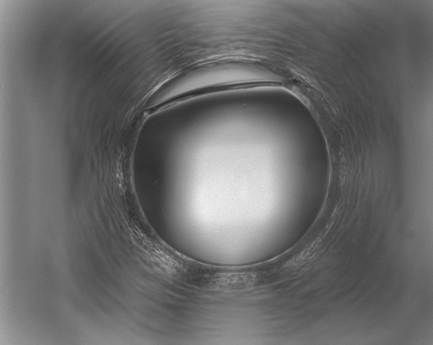 X0000053001305200507221236