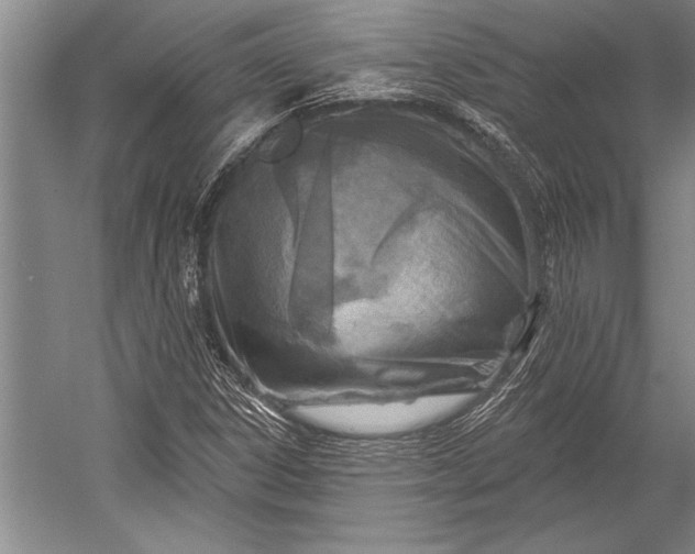 X0000053001306200507221236