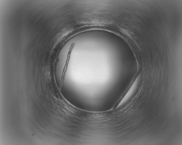 X0000053001307200507221236