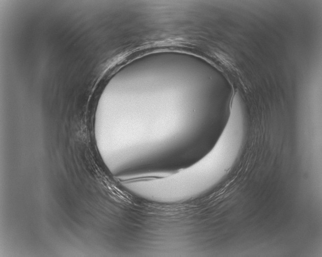 X0000053001308200507221236