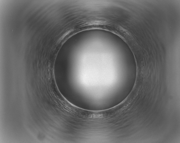 X0000053001313200507221236