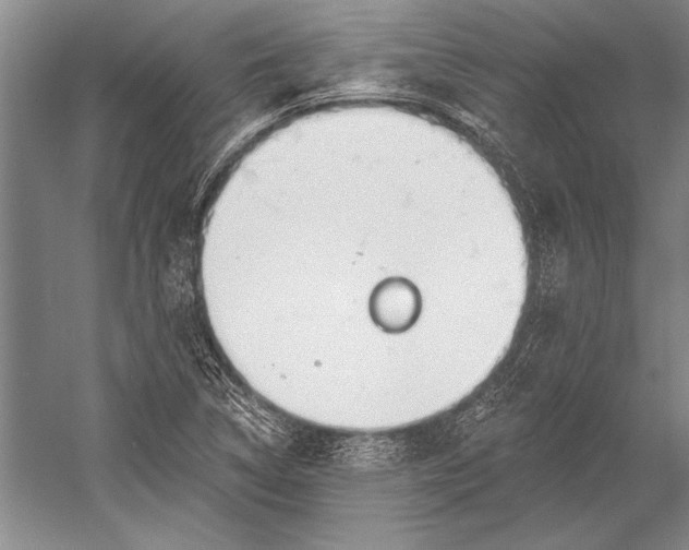 X0000053001314200507221236