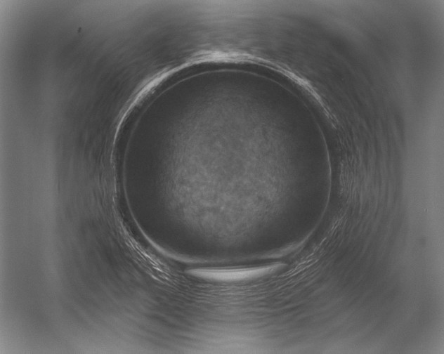 X0000053001319200507221237