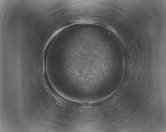 X0000053001323200507221237