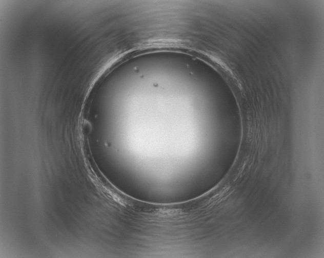 X0000053001325200507221237