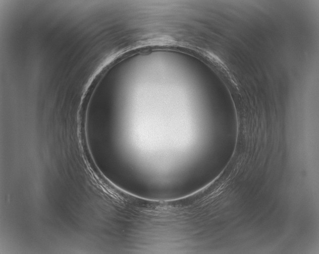 X0000053001326200507221237