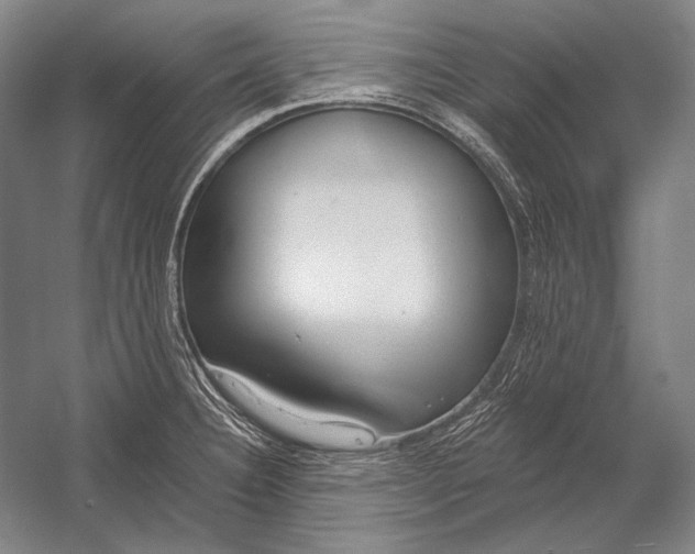 X0000053001332200507221237