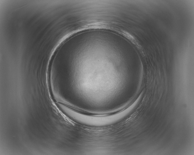 X0000053001334200507221237