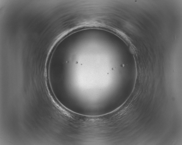 X0000053001335200507221237