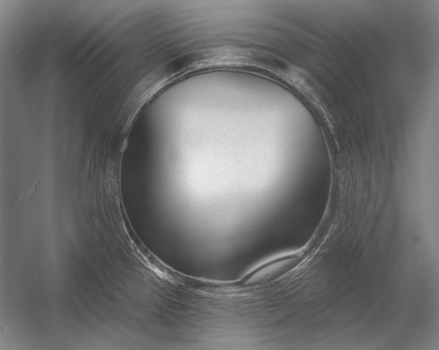 X0000053001337200507221237