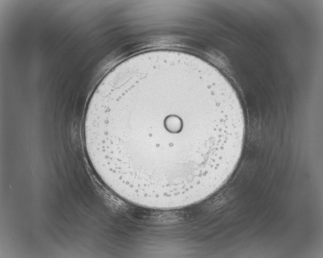 X0000053001338200507221237