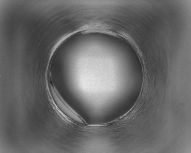 X0000053001344200507221237