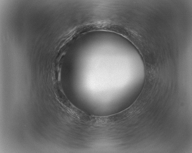 X0000053001349200507221236