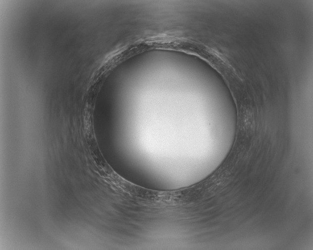 X0000053001350200507221236