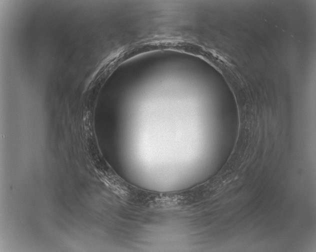 X0000053001351200507221236