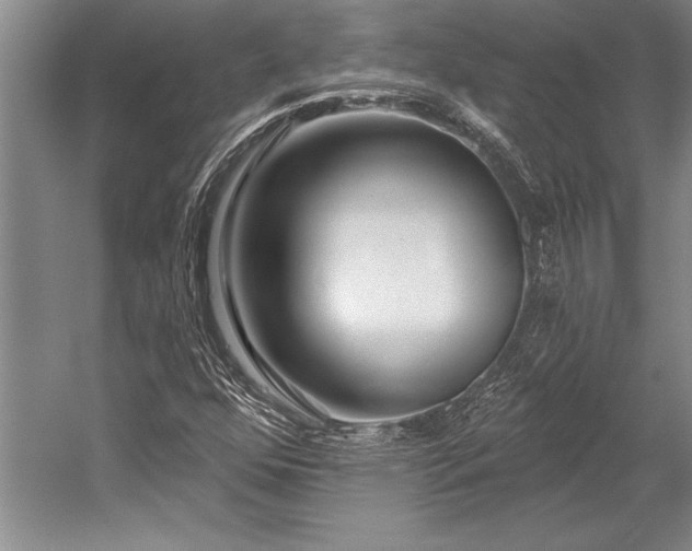 X0000053001352200507221236