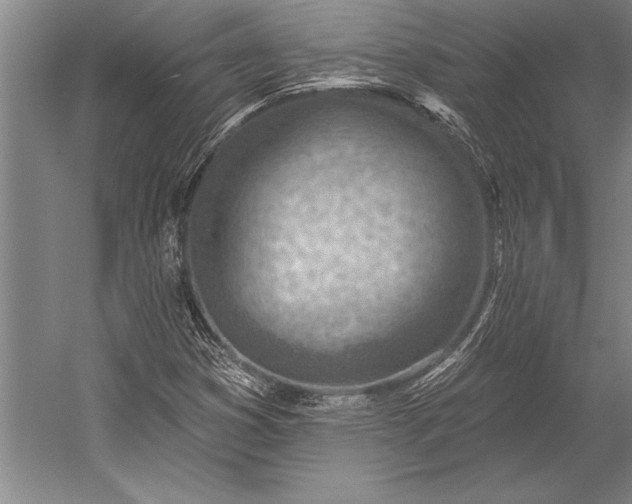 X0000053001353200507221236