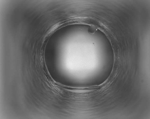 X0000053001354200507221236