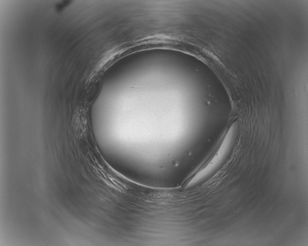 X0000053001355200507221236