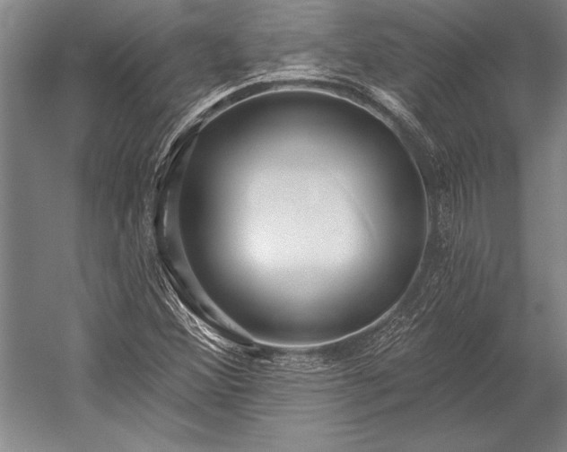 X0000053001356200507221236