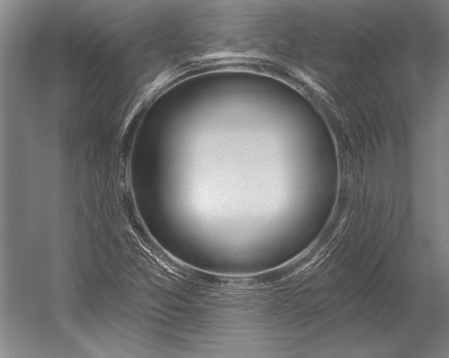 X0000053001357200507221236