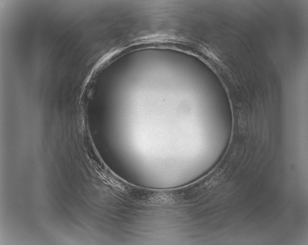 X0000053001358200507221236