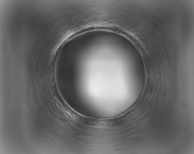 X0000053001359200507221236