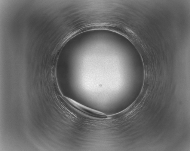 X0000053001361200507221236