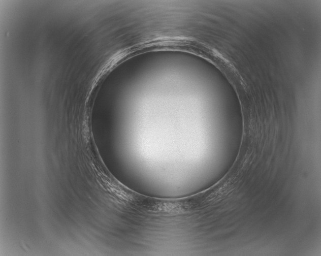 X0000053001362200507221236