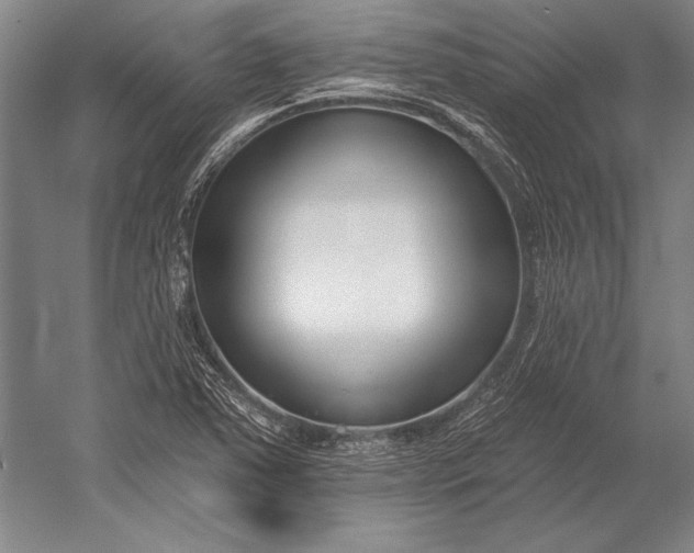 X0000053001363200507221236