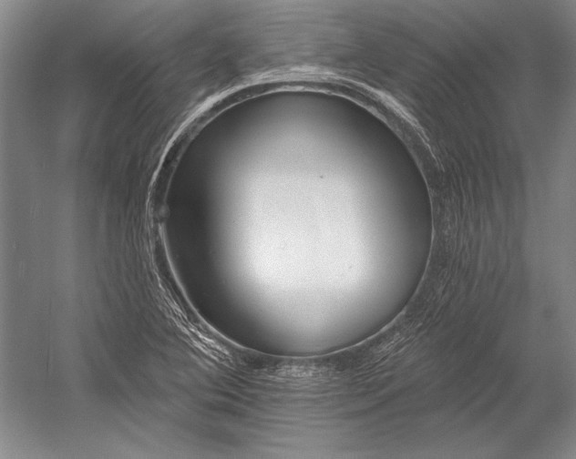 X0000053001364200507221236