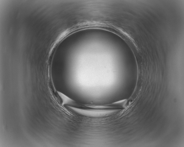 X0000053001365200507221236